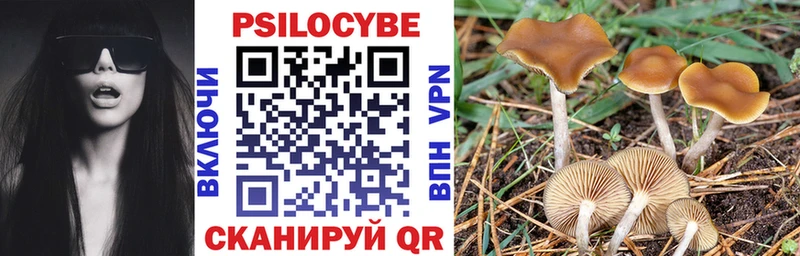 kraken tor где продают наркотики Мончегорск Псилоцибиновые грибы GOLDEN TEACHER